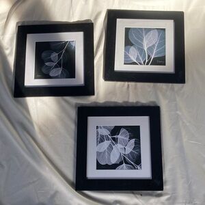 Set Of 3: Black and White Leaf Art Prints